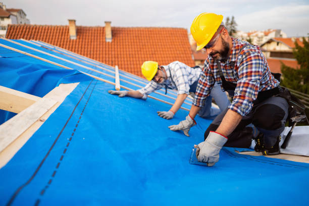 Best Roof Repair Services  in Frankfort, OH