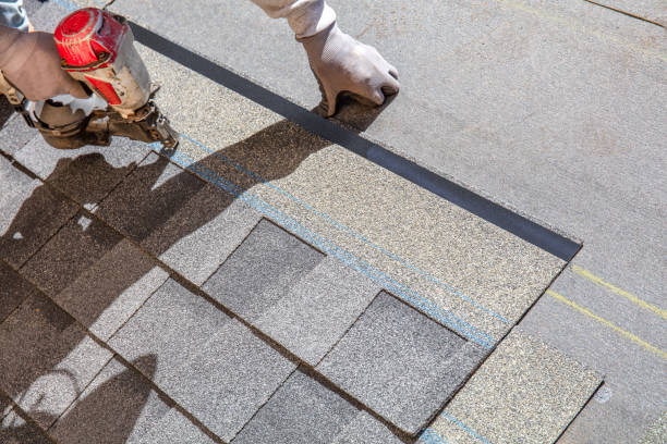 Best Roof Gutter Cleaning  in Frankfort, OH